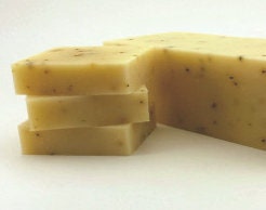 Cold Process Handcrafted Soap Rosemary & Thyme